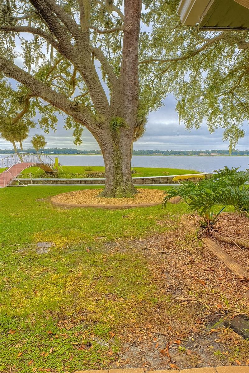 TIMUCUAN ISLAND UN 01 - Residential