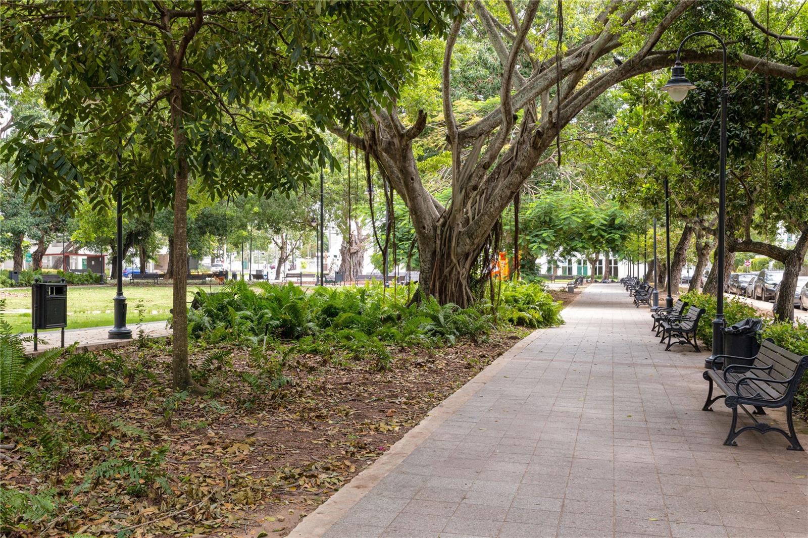 CONDADO - Residential