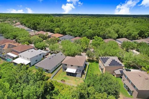 A home in TAMPA