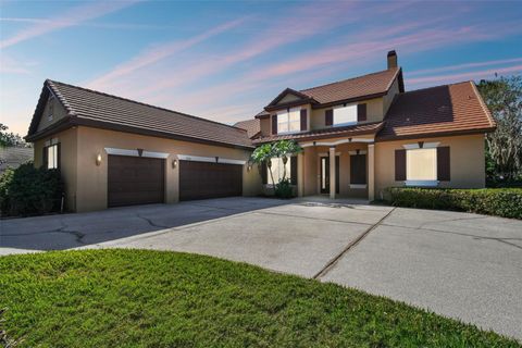 A home in MOUNT DORA