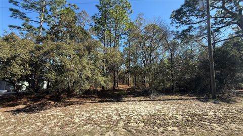 Tiny photo for 9119 N Alpinia Drive, Citrus Springs, FL 34434 (MLS # TB8482644)