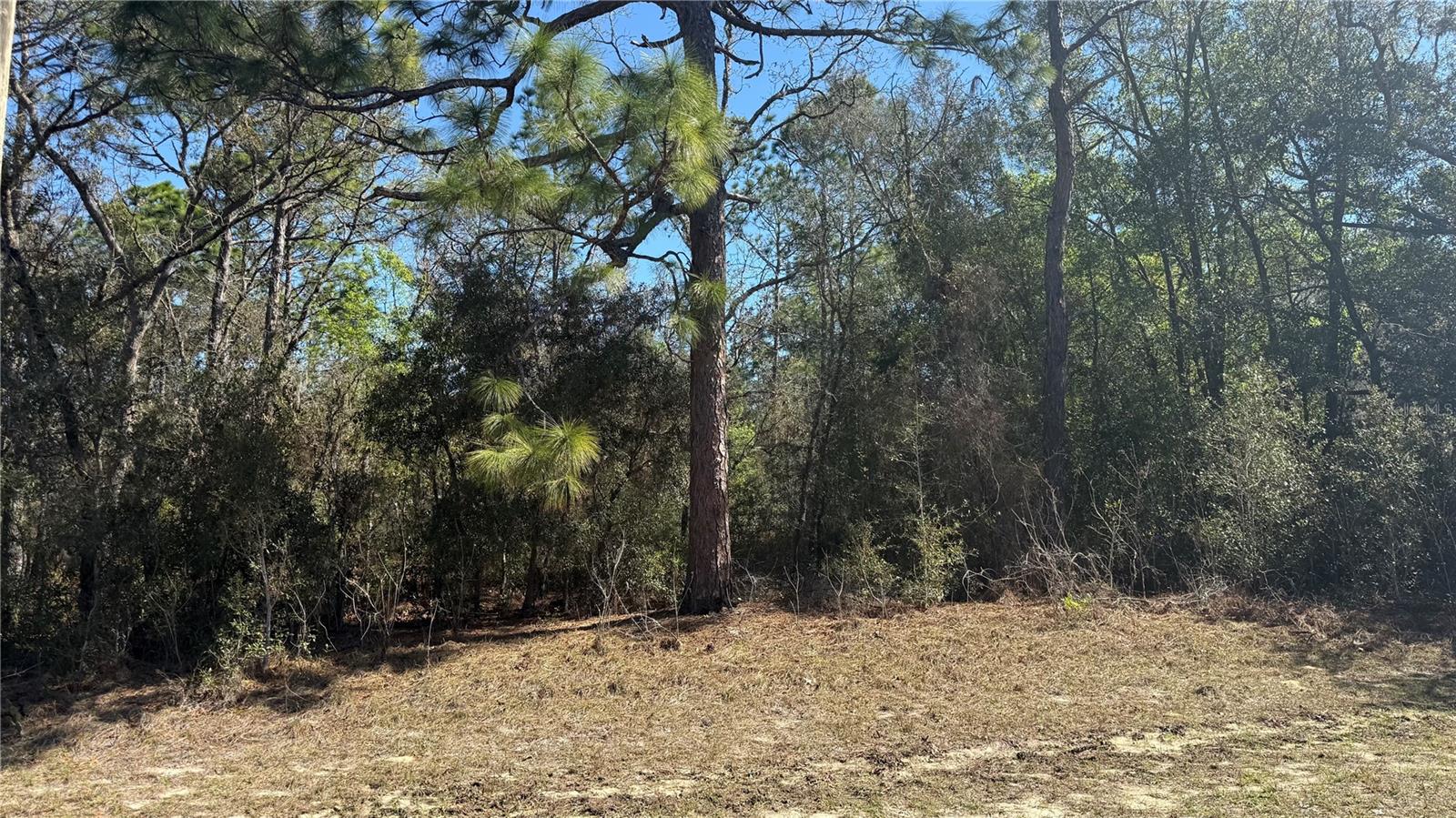 CITRUS SPGS UNIT 01 - Land