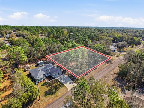 Tiny photo for 9119 N Alpinia Drive, Citrus Springs, FL 34434 (MLS # TB8482644)