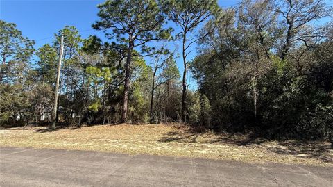 Tiny photo for 9119 N Alpinia Drive, Citrus Springs, FL 34434 (MLS # TB8482644)