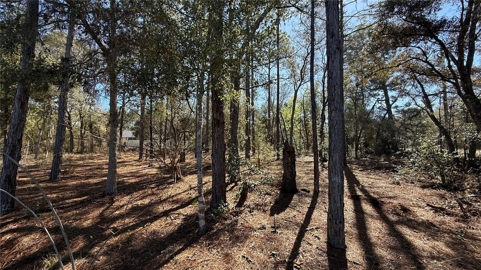 CITRUS SPGS UNIT 01 - Land