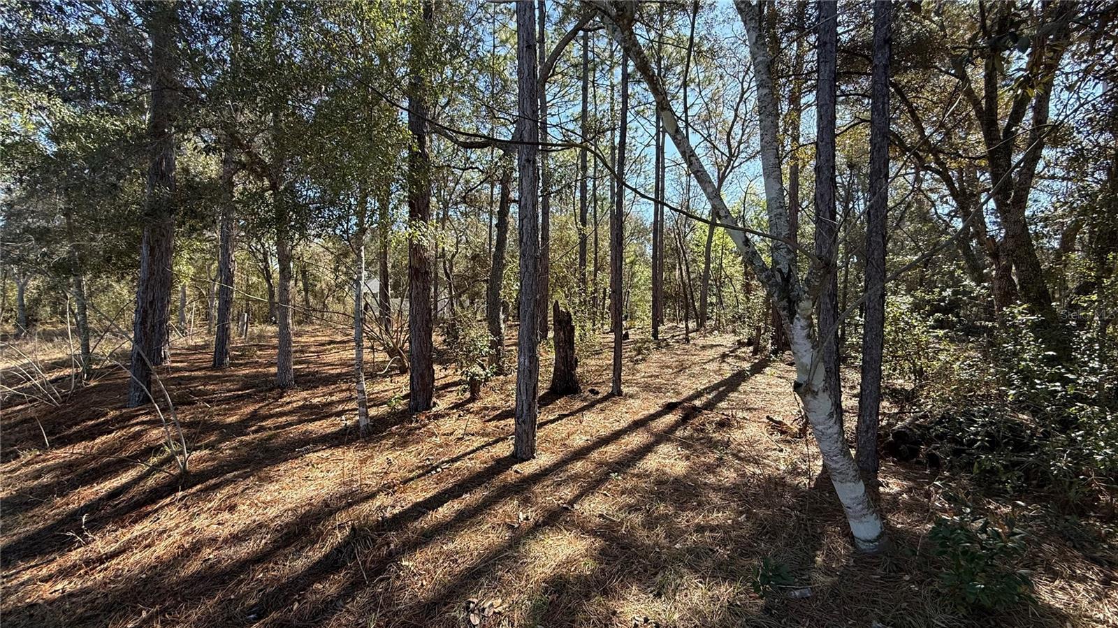 CITRUS SPGS UNIT 01 - Land