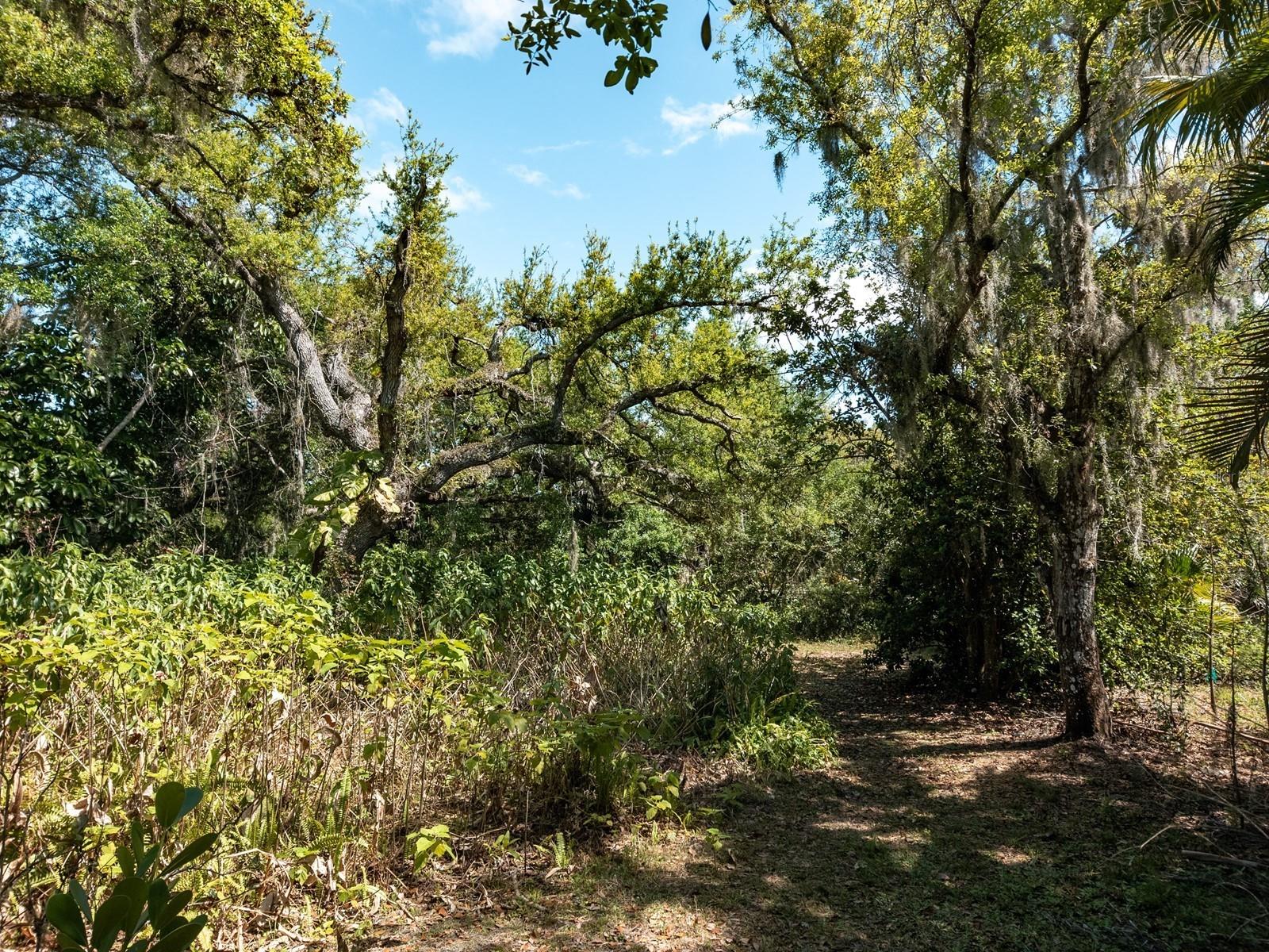 DUNNHILL ESTATES - Residential