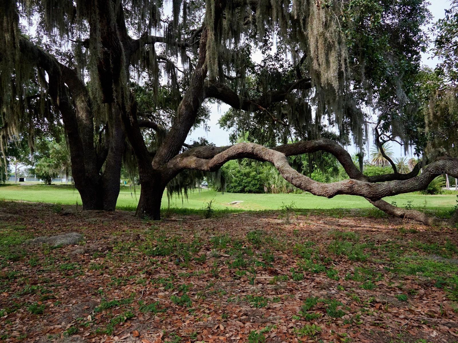 DUNNHILL ESTATES - Residential