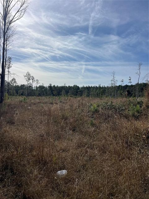 137TH PLACE NE CITRA FL 32113