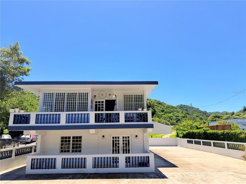 Carr 901 BARRIO CAMINO NUEVO YABUCOA 00767