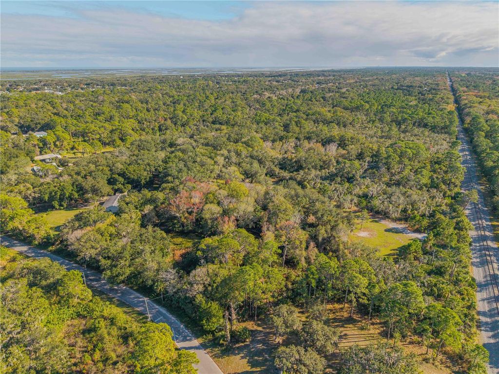 Photo of 480 Clinton Cemetery Road, Edgewater, FL 32141 (MLS # NS1086782)