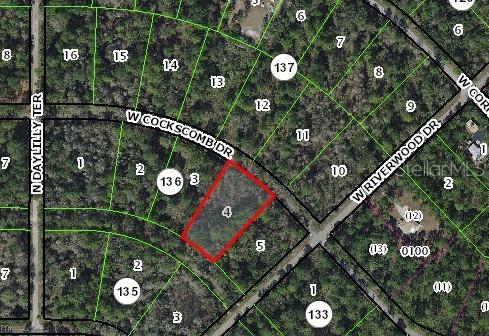 Photo of 11476 W Cockscomb Drive, Crystal River, FL 34428 (MLS # P4939776)