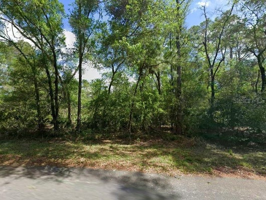 11476 W COCKSCOMB DR, CRYSTAL RIVER, FL 34428 - Image 0dbadfcc15763f42ada8eaedce3ed5d1/4012600292