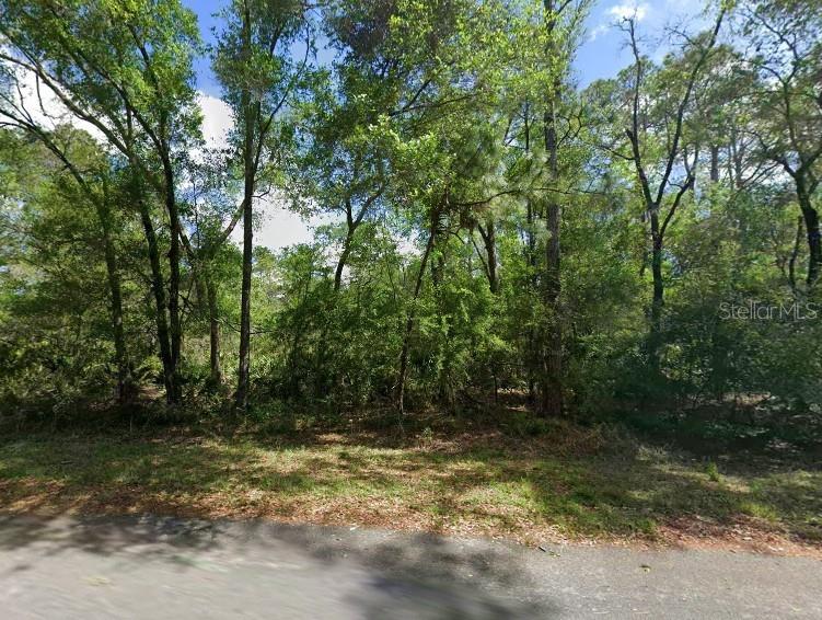 Photo of 11476 W Cockscomb Drive, Crystal River, FL 34428 (MLS # P4939776)