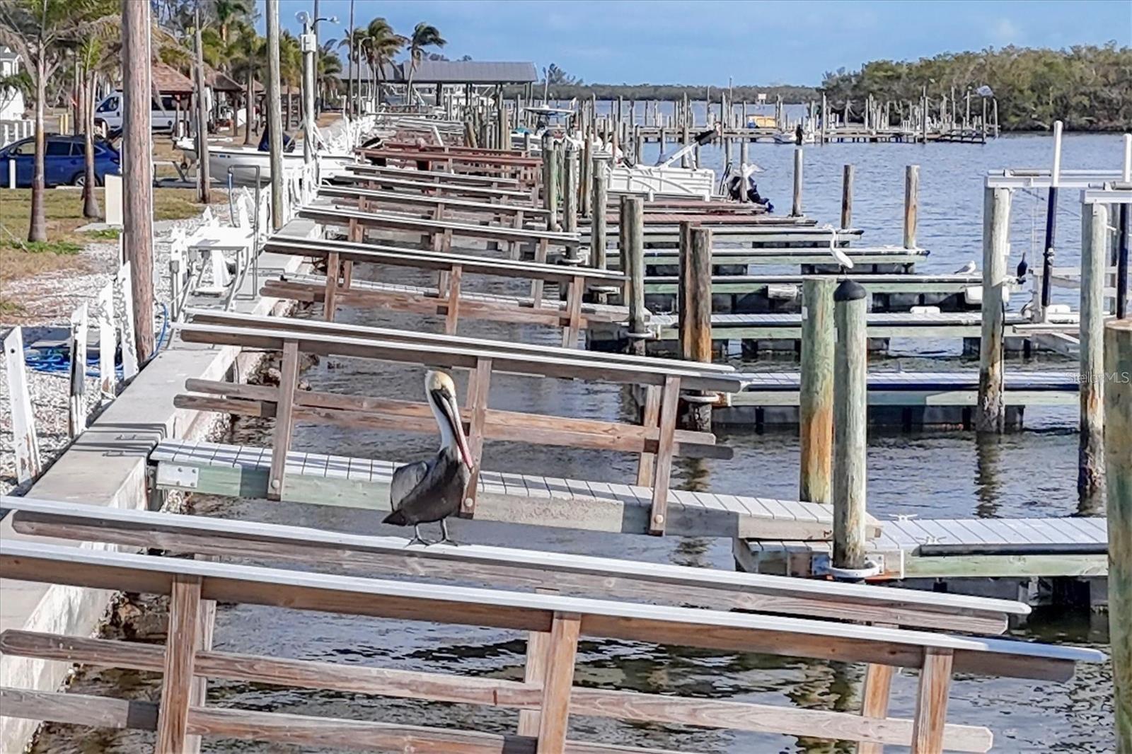 PARADISE BAY ESTATES CO-OP - Residential