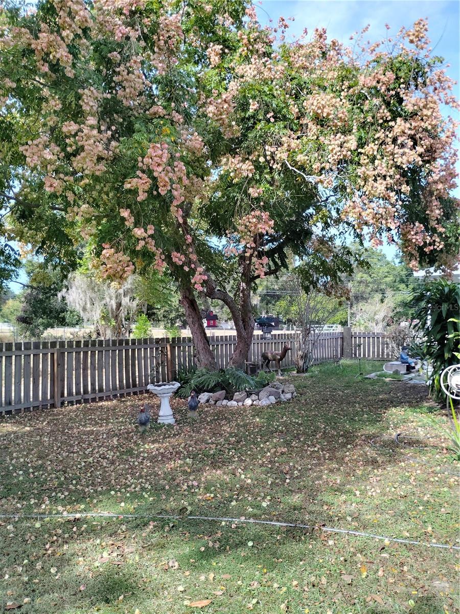 TEVALO HILLS UNIT 3 - Residential