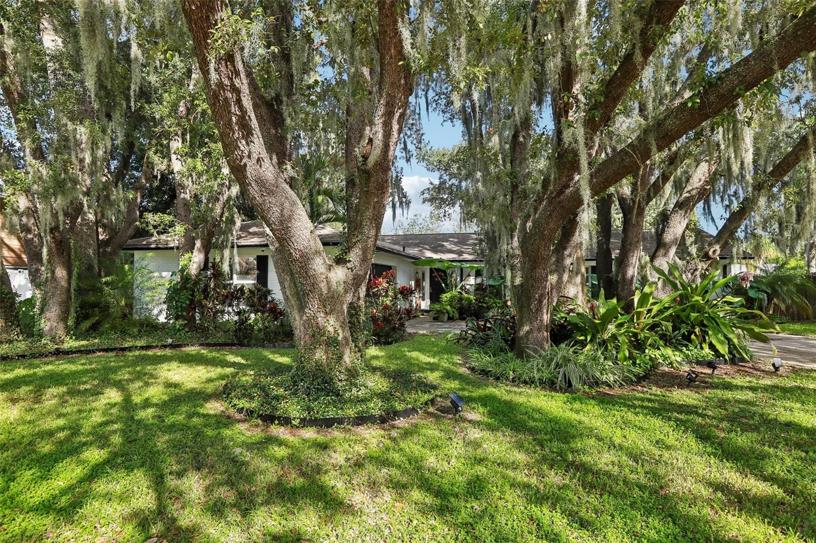 2311 GREEN LAWN STREET