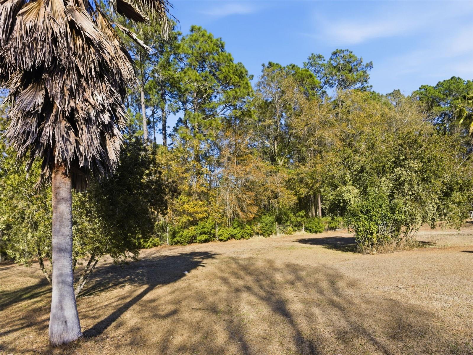 ST JOHNS MANOR ACRES DIV - Residential