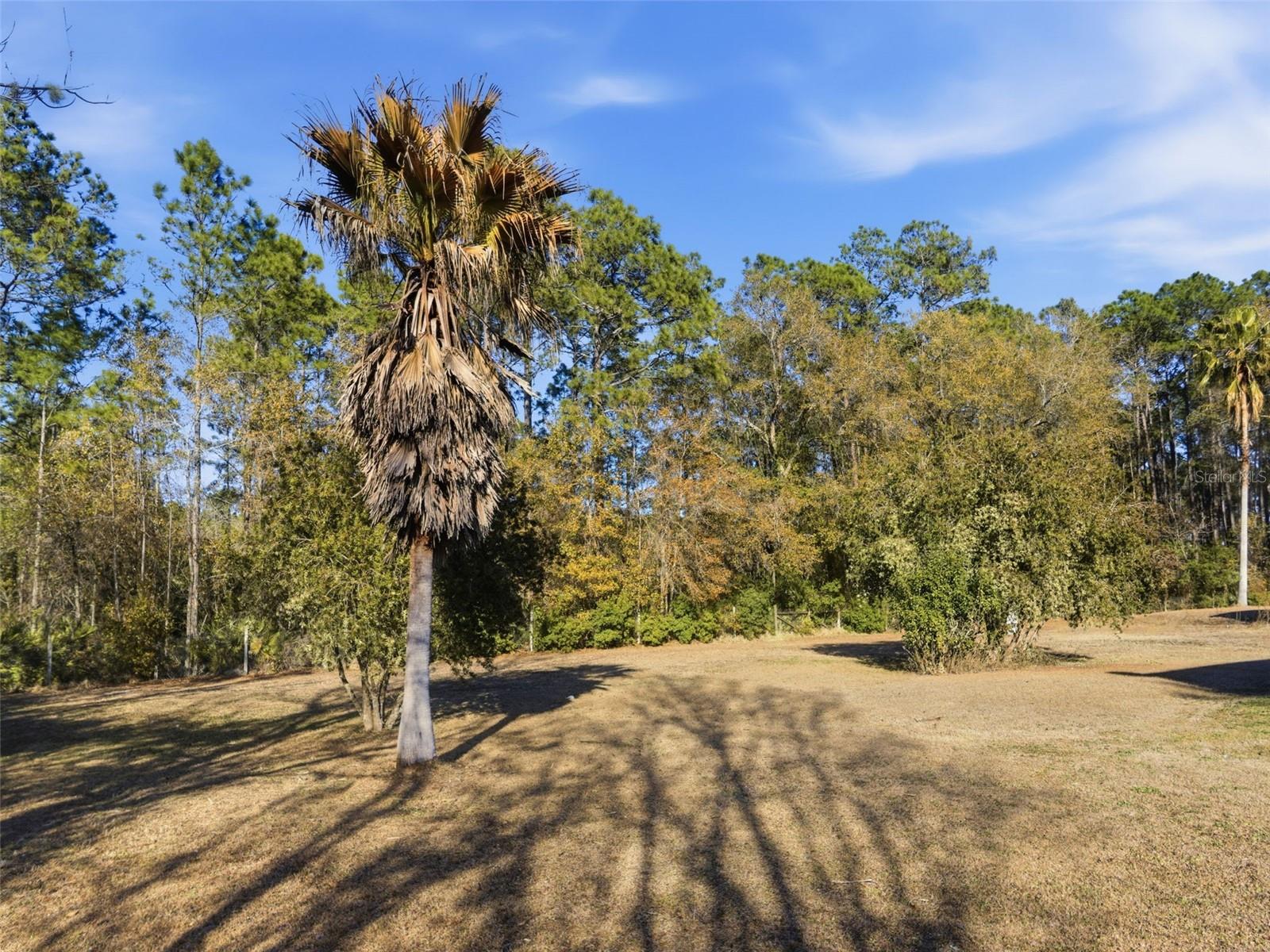 ST JOHNS MANOR ACRES DIV - Residential