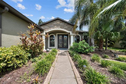 A home in APOLLO BEACH