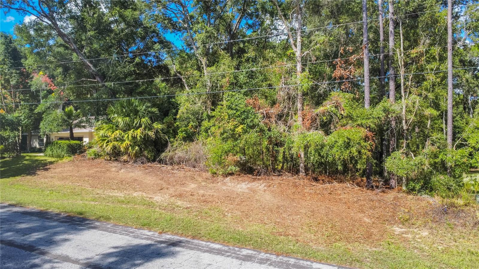 CITRUS SPGS UNIT 20 - Land