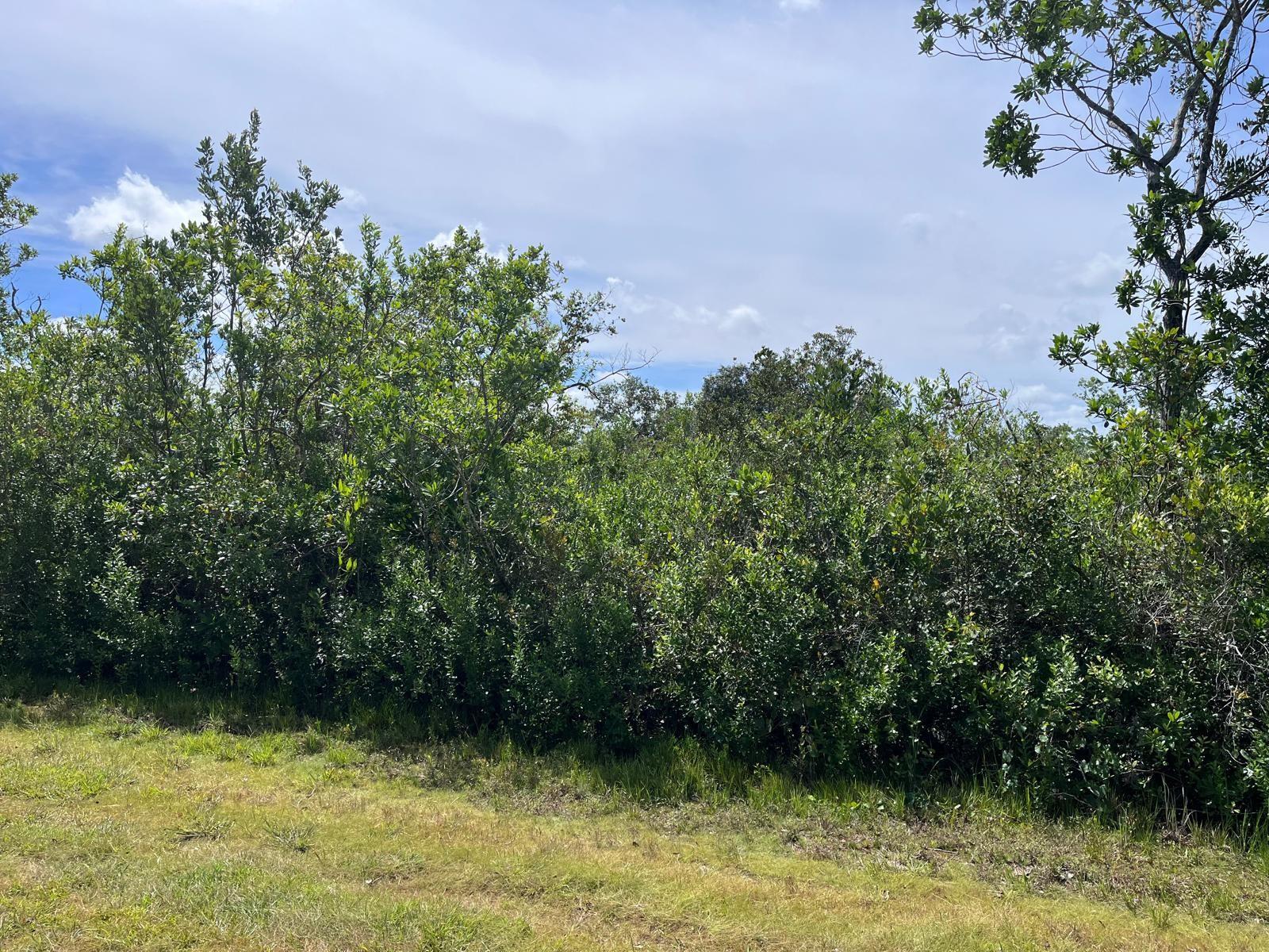 INDIAN LAKE ESTATES - Land