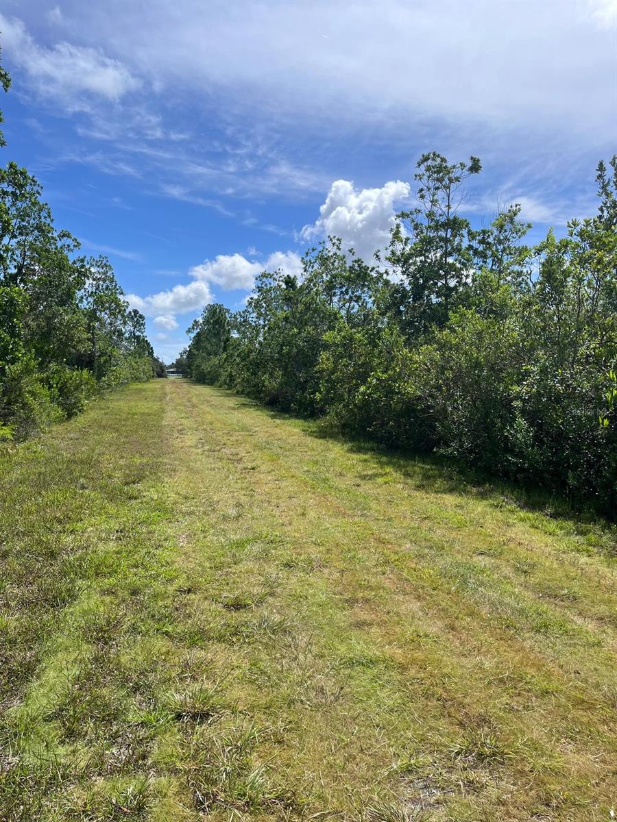 INDIAN LAKE ESTATES - Land