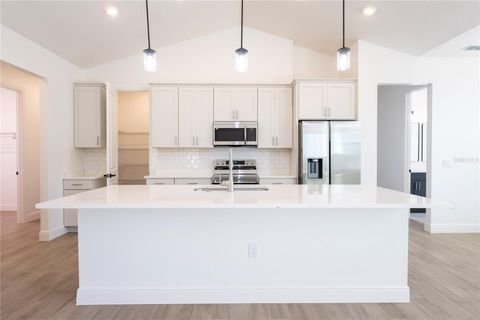 Tiny photo for 10745 Philips Landing Court, Webster, FL 33597 (MLS # G5102966)