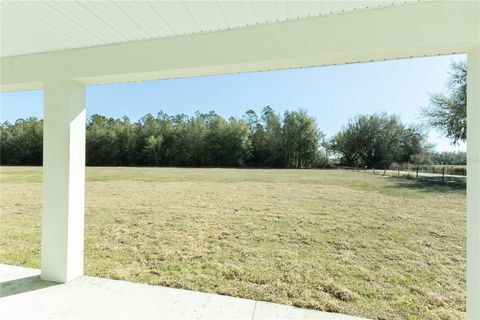 Tiny photo for 10745 Philips Landing Court, Webster, FL 33597 (MLS # G5102966)