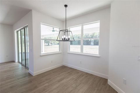 Tiny photo for 10745 Philips Landing Court, Webster, FL 33597 (MLS # G5102966)