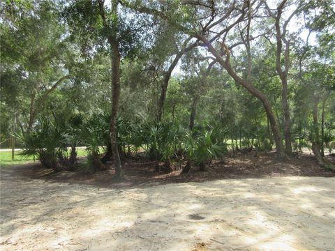 Tiny photo for 0 SE 10th Street, Silver Springs, FL 34488 (MLS # OM725798)