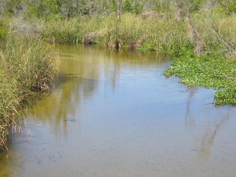 Tiny photo for 0 SE 10th Street, Silver Springs, FL 34488 (MLS # OM725798)