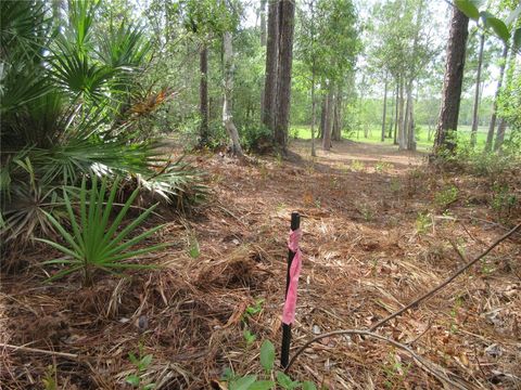 Tiny photo for 0 SE 10th Street, Silver Springs, FL 34488 (MLS # OM725798)