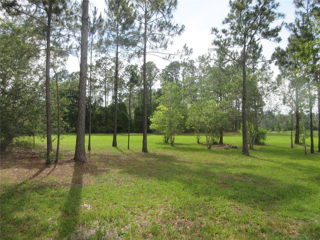Photo of 0 SE 10th Street, Silver Springs, FL 34488 (MLS # OM725798)