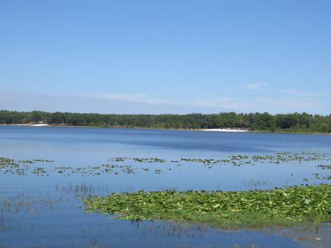Tiny photo for 0 SE 10th Street, Silver Springs, FL 34488 (MLS # OM725798)