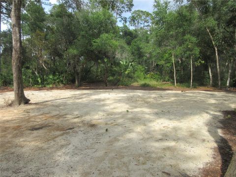 Tiny photo for 0 SE 10th Street, Silver Springs, FL 34488 (MLS # OM725798)