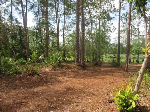 Tiny photo for 0 SE 10th Street, Silver Springs, FL 34488 (MLS # OM725798)
