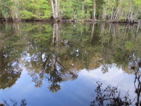 Tiny photo for 0 SE 10th Street, Silver Springs, FL 34488 (MLS # OM725798)