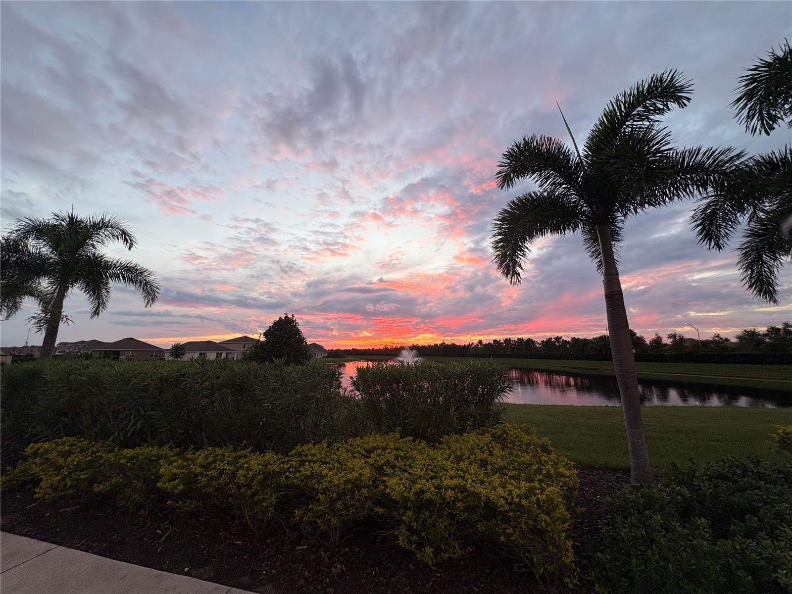 17917 CANOPY PLACE