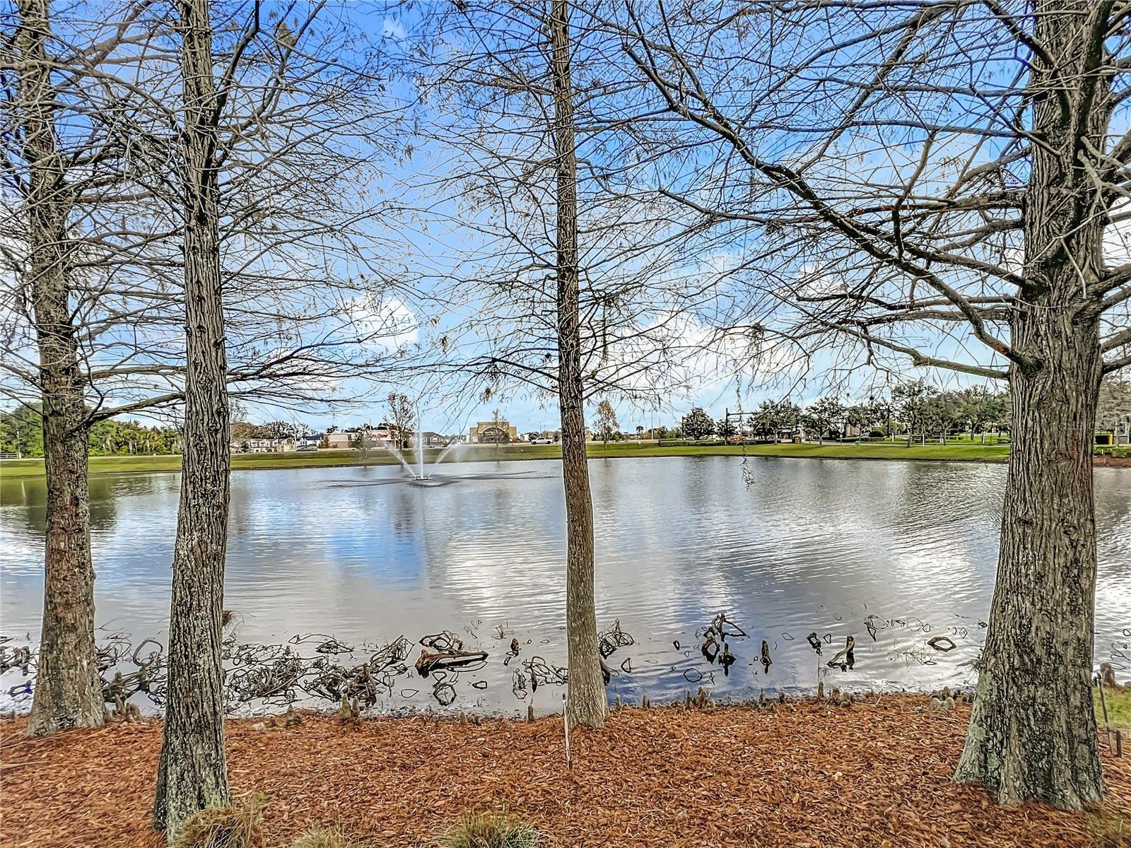 SPRING ISLE - Residential Lease