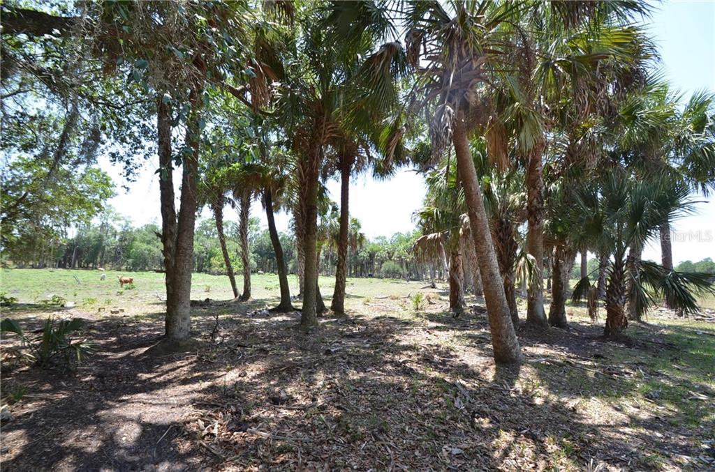 ACREAGE & UNREC - Residential