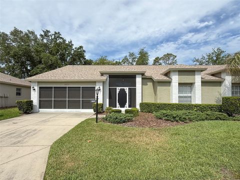 Photo of 18037 Baywood Forest Drive, Hudson, FL 34667 (MLS # W7885470)