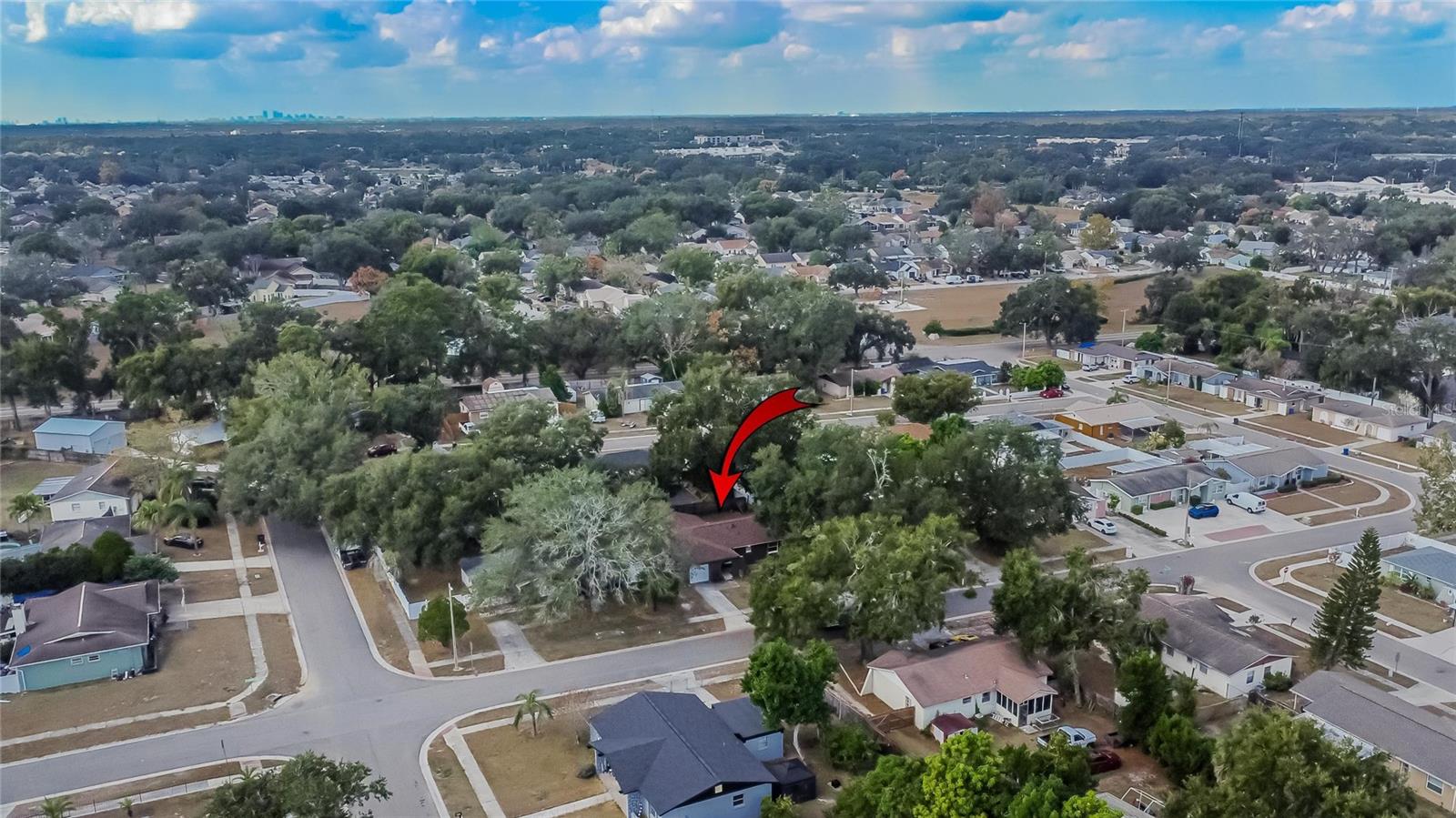 BRANDON-VALRICO HILLS ESTATES - Residential