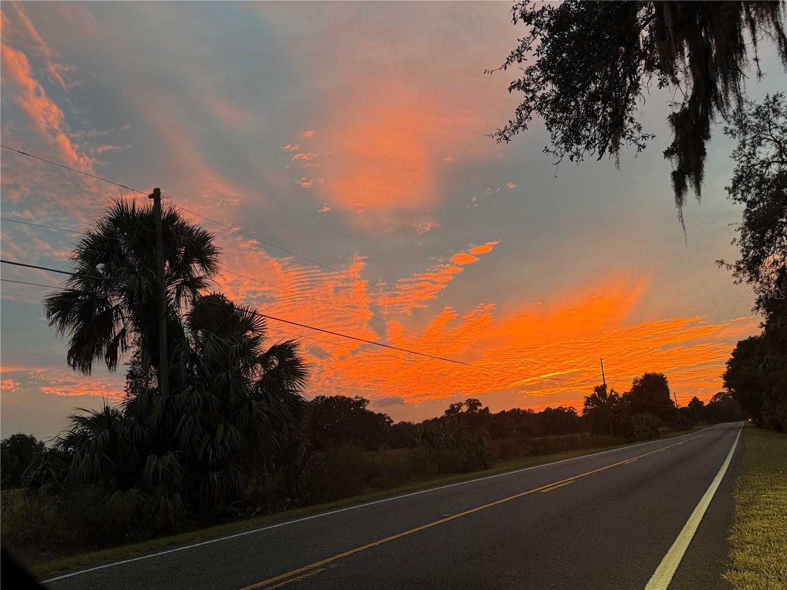 RAINBOW SPRINGS WOODLANDS - Land