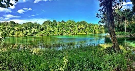 RAINBOW SPRINGS WOODLANDS - Land