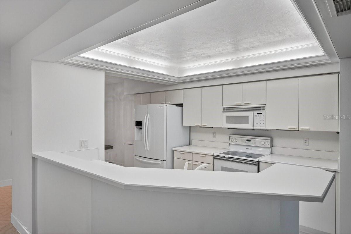 TOWERS AT PONCE INLET TOWER 01 CONDO - Residential