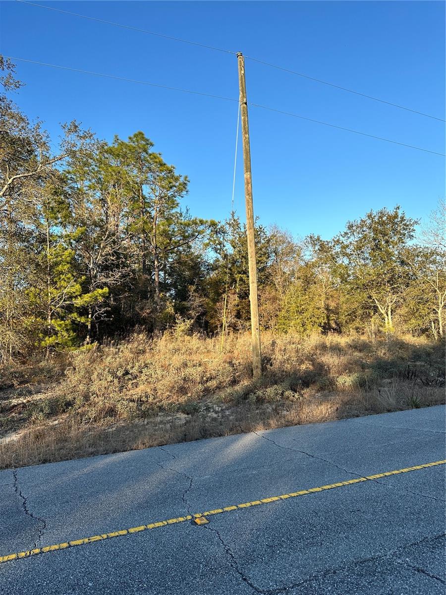 SUNNY HILLS UN 01 - Land