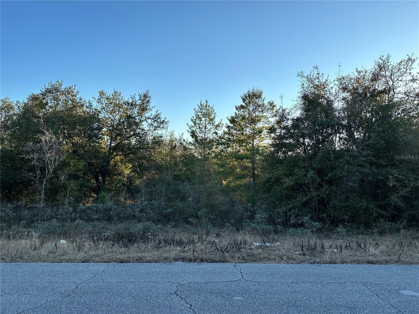 SUNNY HILLS UN 01 - Land