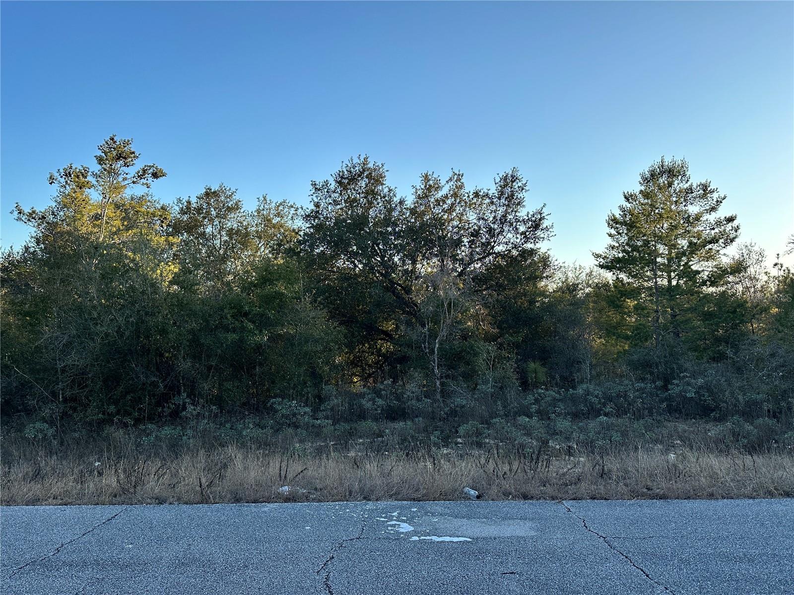 SUNNY HILLS UN 01 - Land