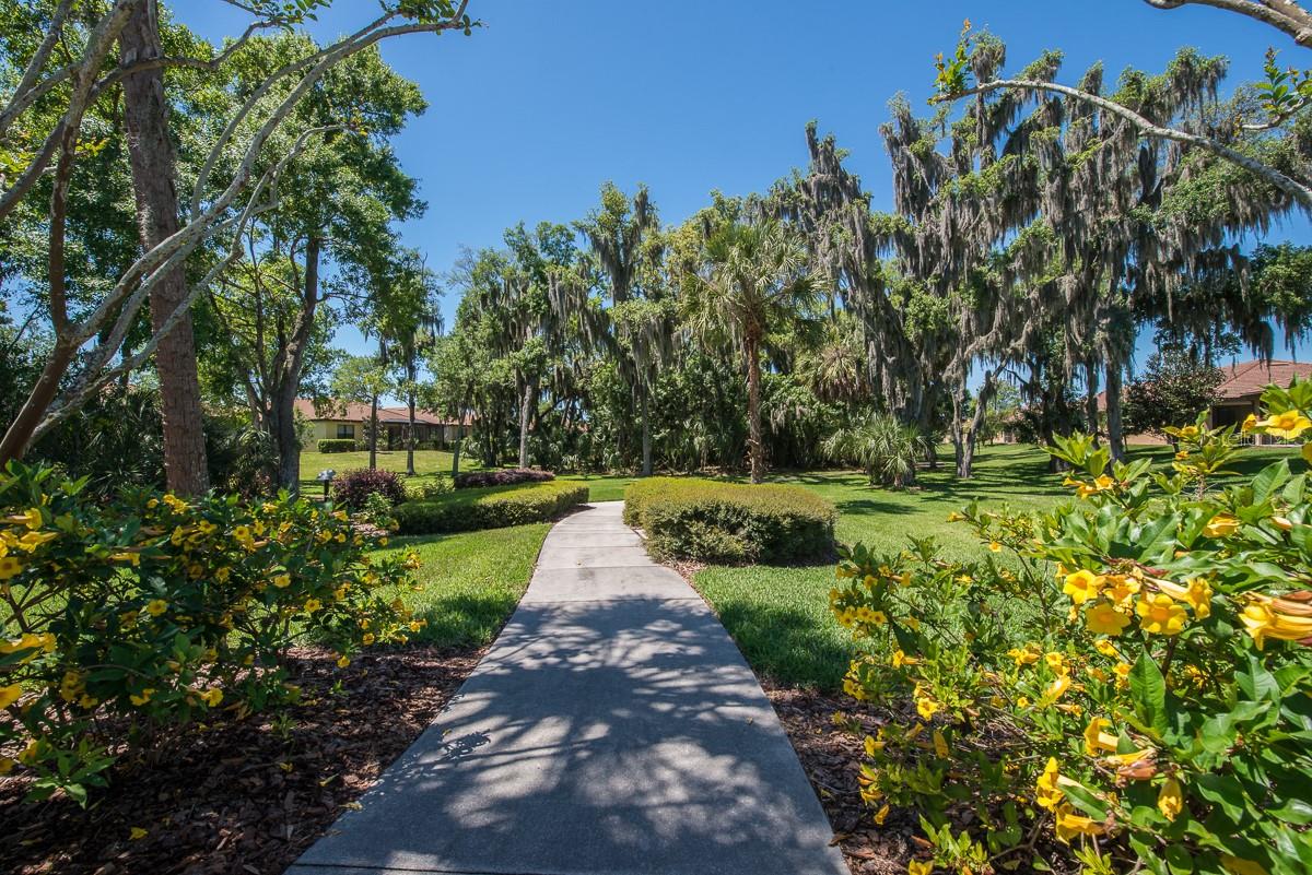 SOUTHSHORE FALLS PH 1 - Residential
